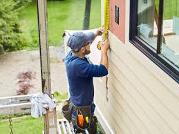 Best Brick Veneer Siding  in Lake Park, IA